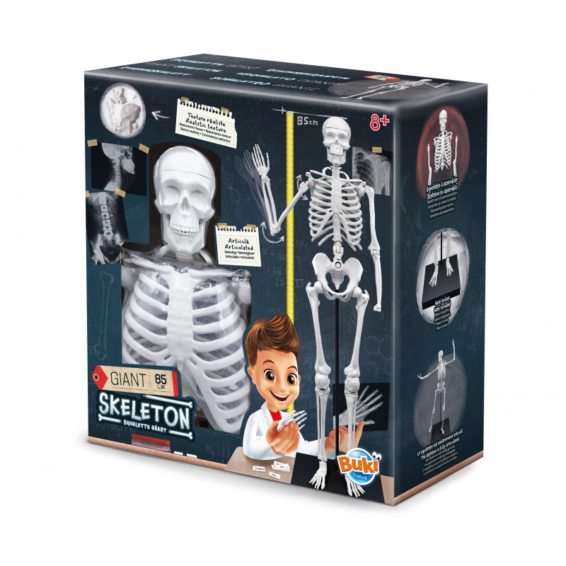skeleton-85-cm