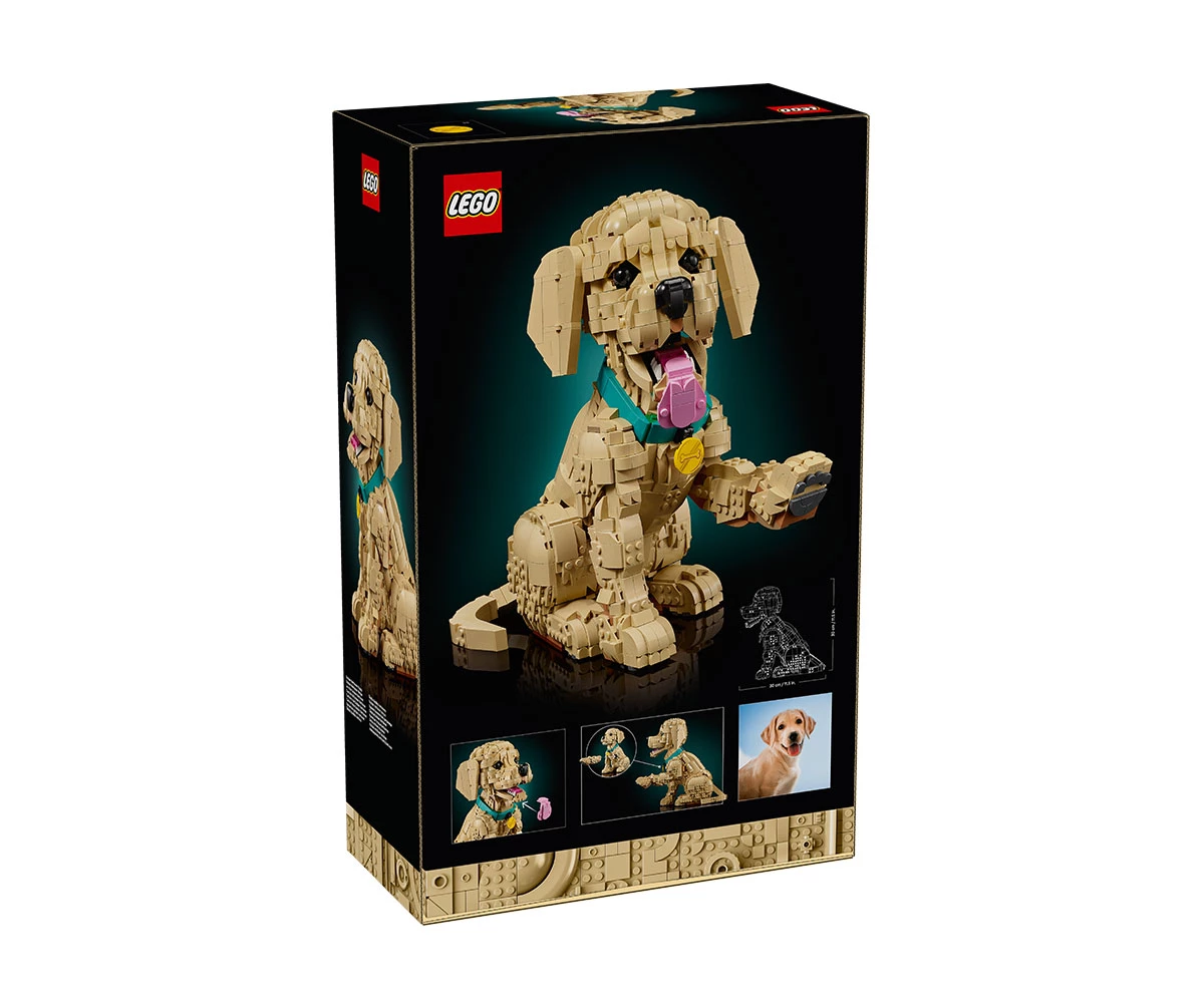 Детски комплект за игра LEGO® Icons 11384 - Кученце голдън ретривър thumb 2 LEGO® Icons 11384 - Golden Reriever Puppy thumb 2