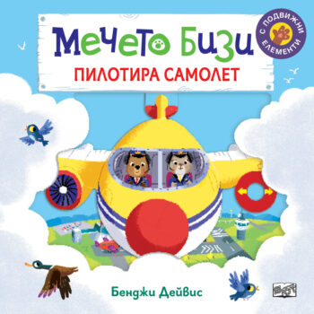 mecheto-bizi-samolet