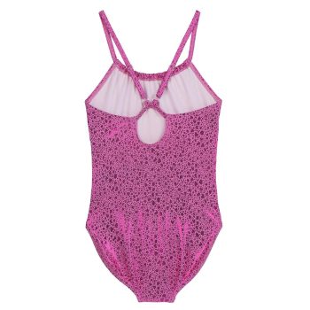 2900002584