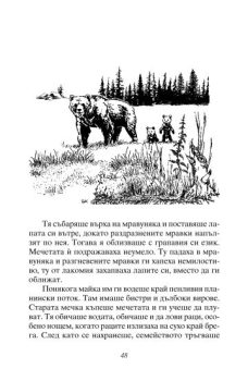 07bcc9a546fe1bf1a377f6aaaf38e9a8_360x0f_lakomoto_meche