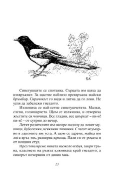 07bcc9a546fe1bf1a377f6aaaf38e9a8_360x0f_lakomoto_meche